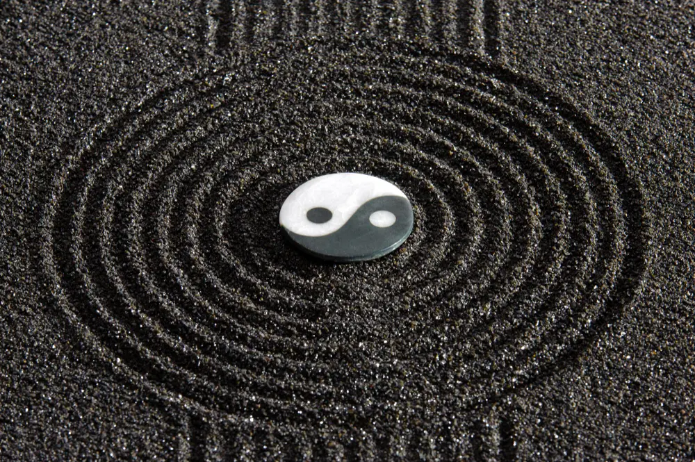 Yin and Yang of Integrative Medicine