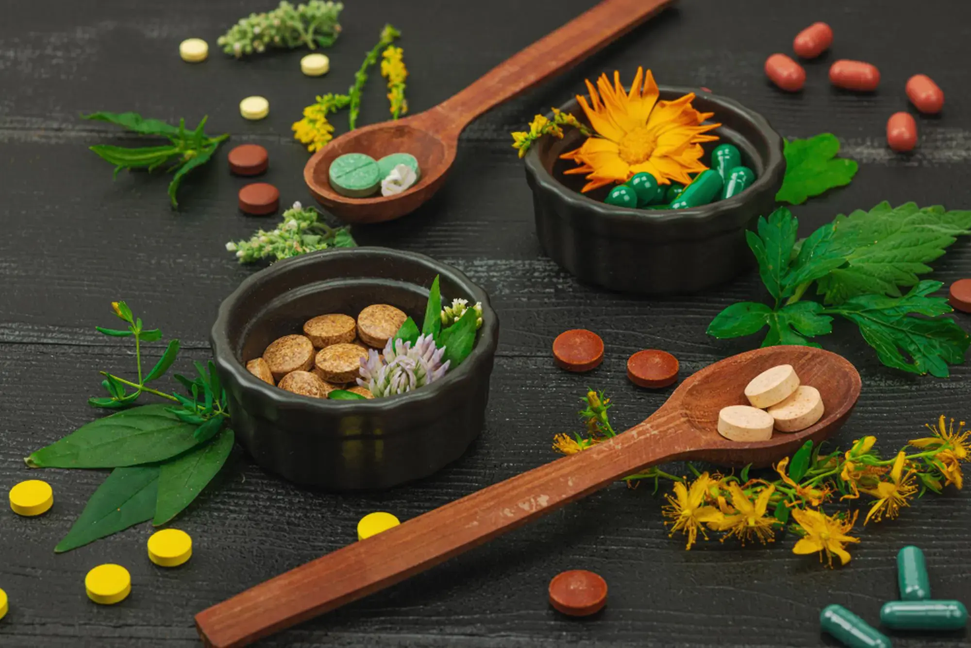 Natural Healing vs Modern Medicine