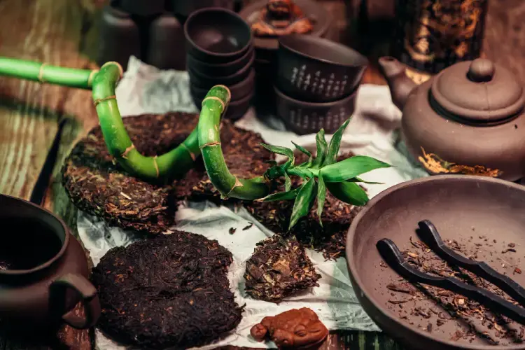 Chinese herbal medicine